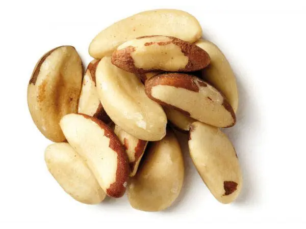 Castaña de pará o Nuez de Brasil