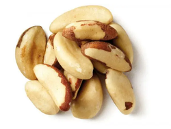 Castaña de pará o Nuez de Brasil