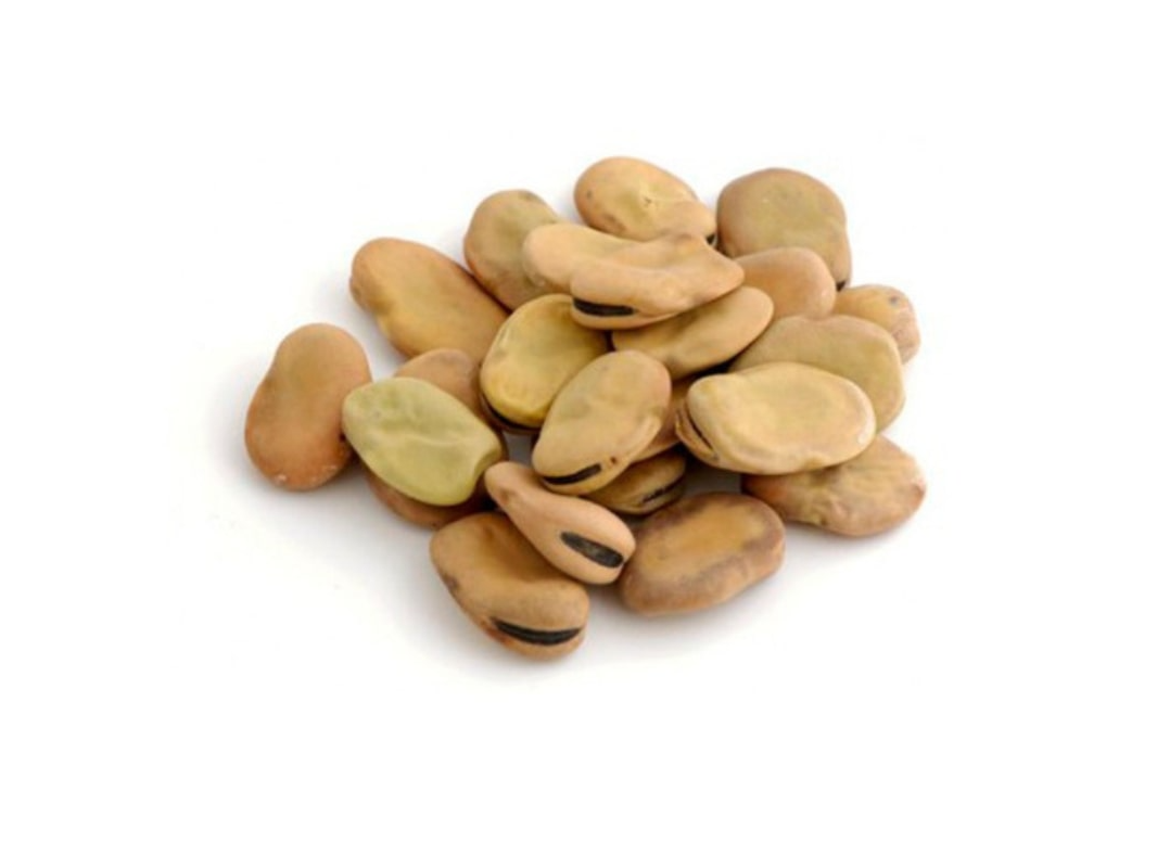 Haba Peruana