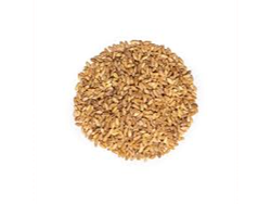 Trigo Pelado Candeal