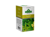 Té Tilo Cedrón y Melisa Saint Gottard x20