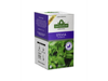 Té Stevia Saint Gottard x20