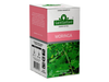 Té Moringa Saint Gottard x20