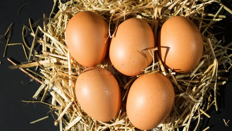 HUEVOS