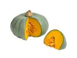 ZAPALLO CRIOLLO