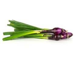 CEBOLLA DE VERDEO