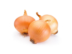 CEBOLLA MEDIANA