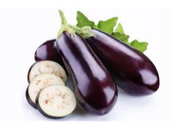 BERENJENA