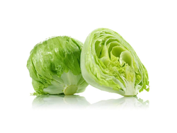 LECHUGA REPOLLADA