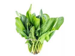 ESPINACA