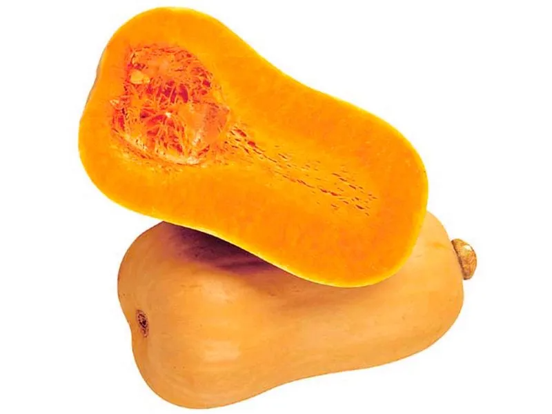 CALABACIN