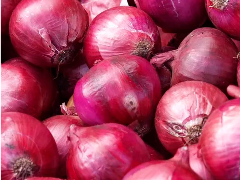 CEBOLLA MORADA