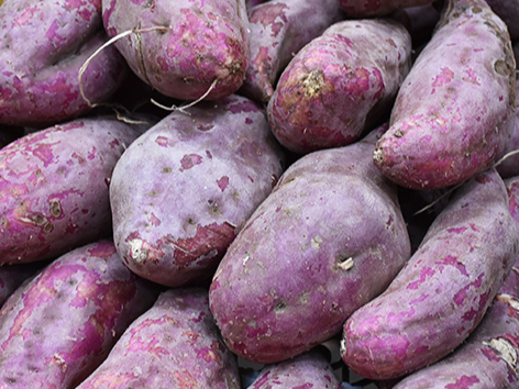 BATATA