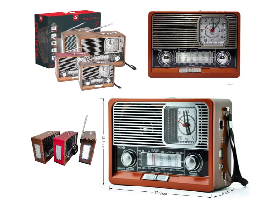 RADIO PARLANTE BT 4 BANDAS