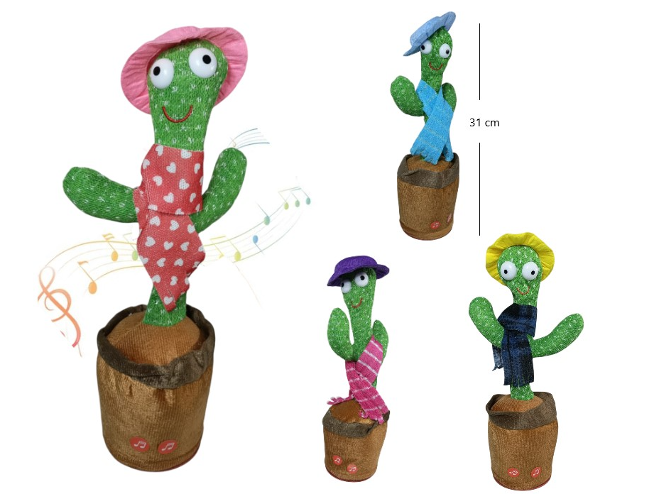 CACTUS CON ACCESORIOS