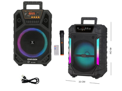 PARLANTE 12PLG CON MICROFONO