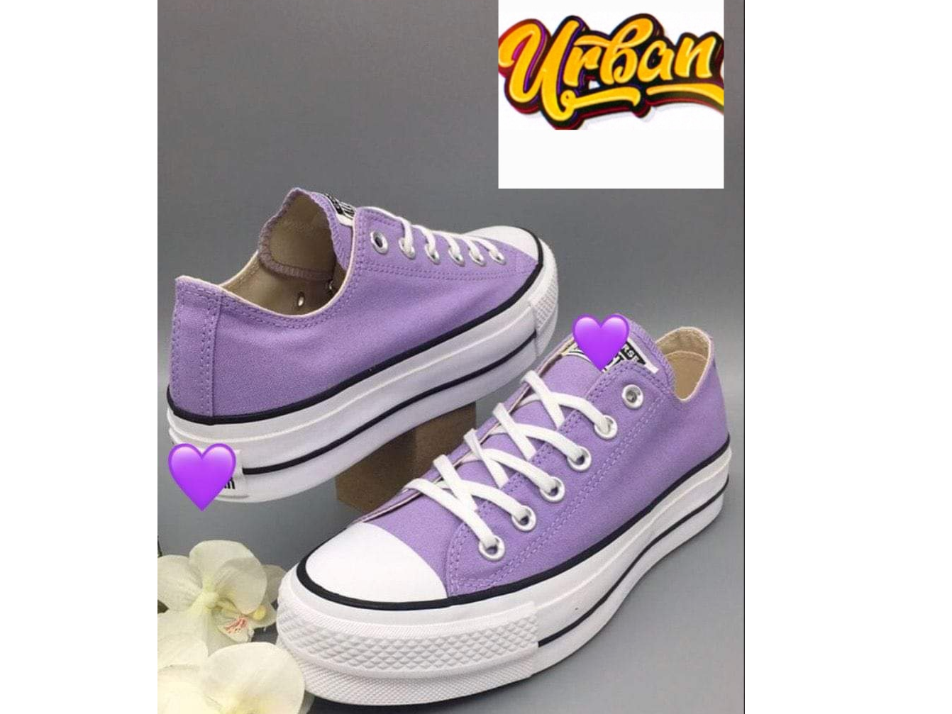 STAR VIOLETA