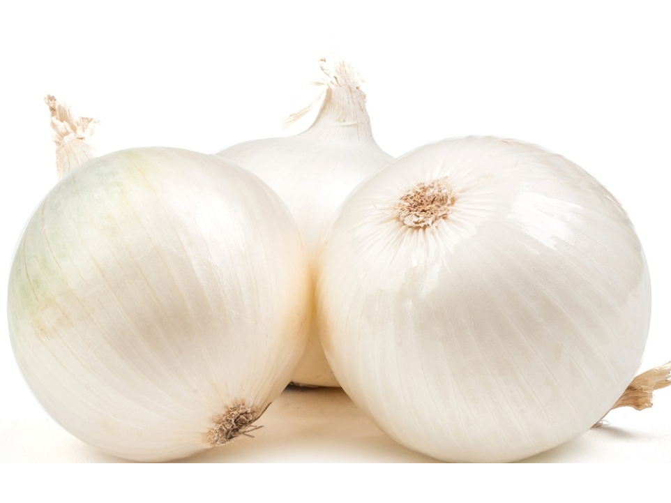 Cebolla Albina