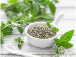 Albahaca