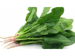 Espinaca