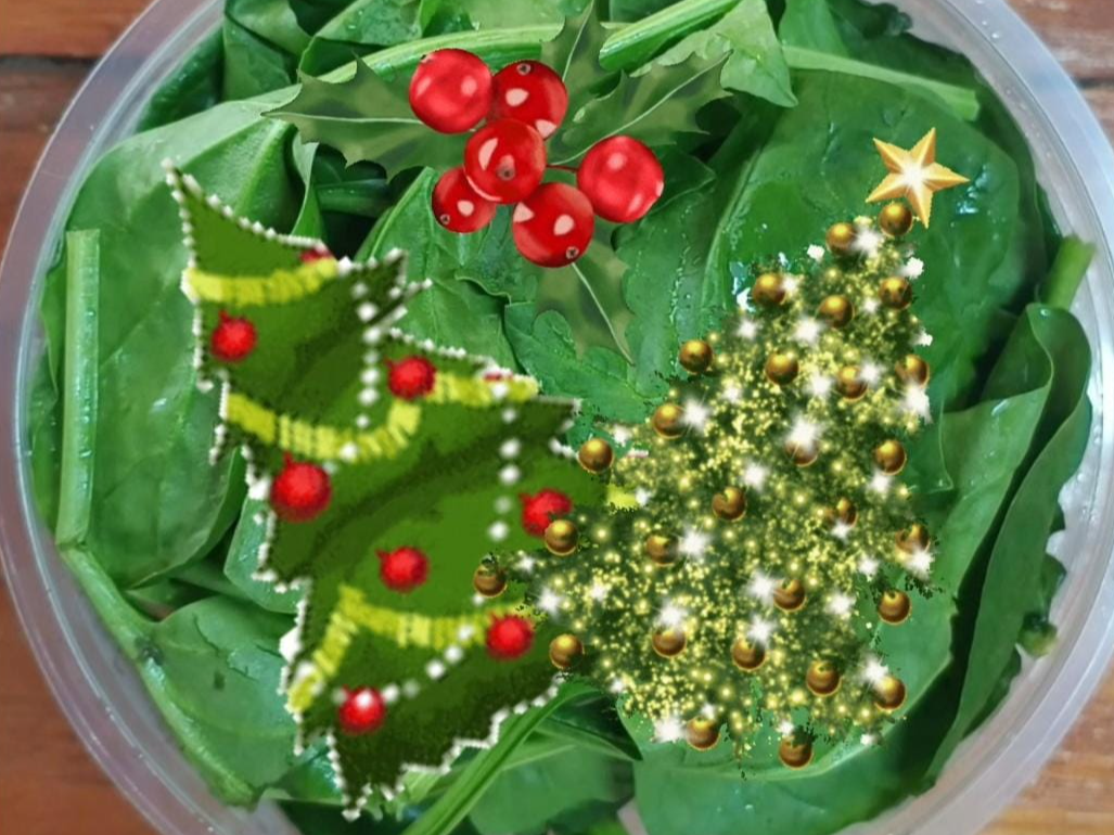 Ensalada de Espinaca