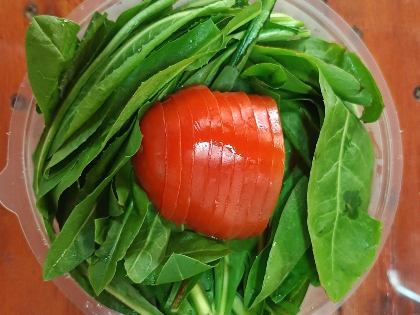 Ensalada Achicoria y Tomate