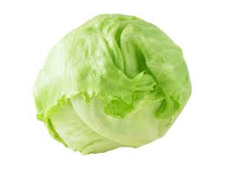 Lechuga Arrepollada