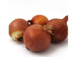 Cebolla Escabechera