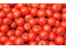 2 Kilos Tomate Redondo Chico