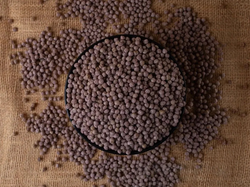 Quinoa Pop - Arandanos