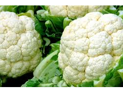 Coliflor