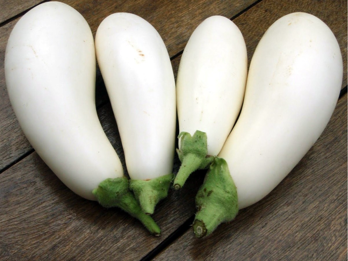 Berenjena Blanca