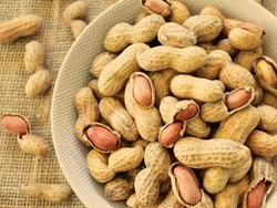 Mani Blancheado sin Sal