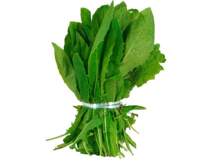 Achicoria