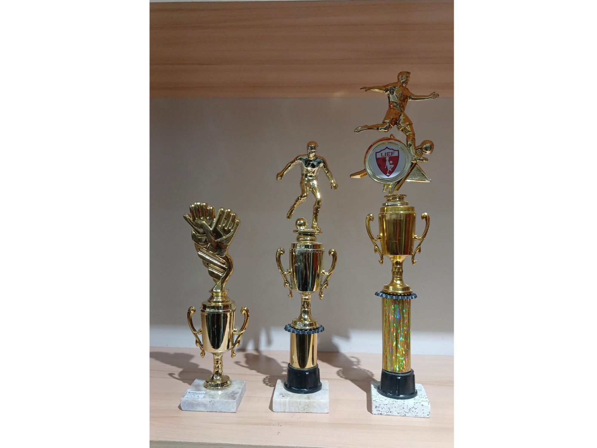 COPA AMERICANA CHICA