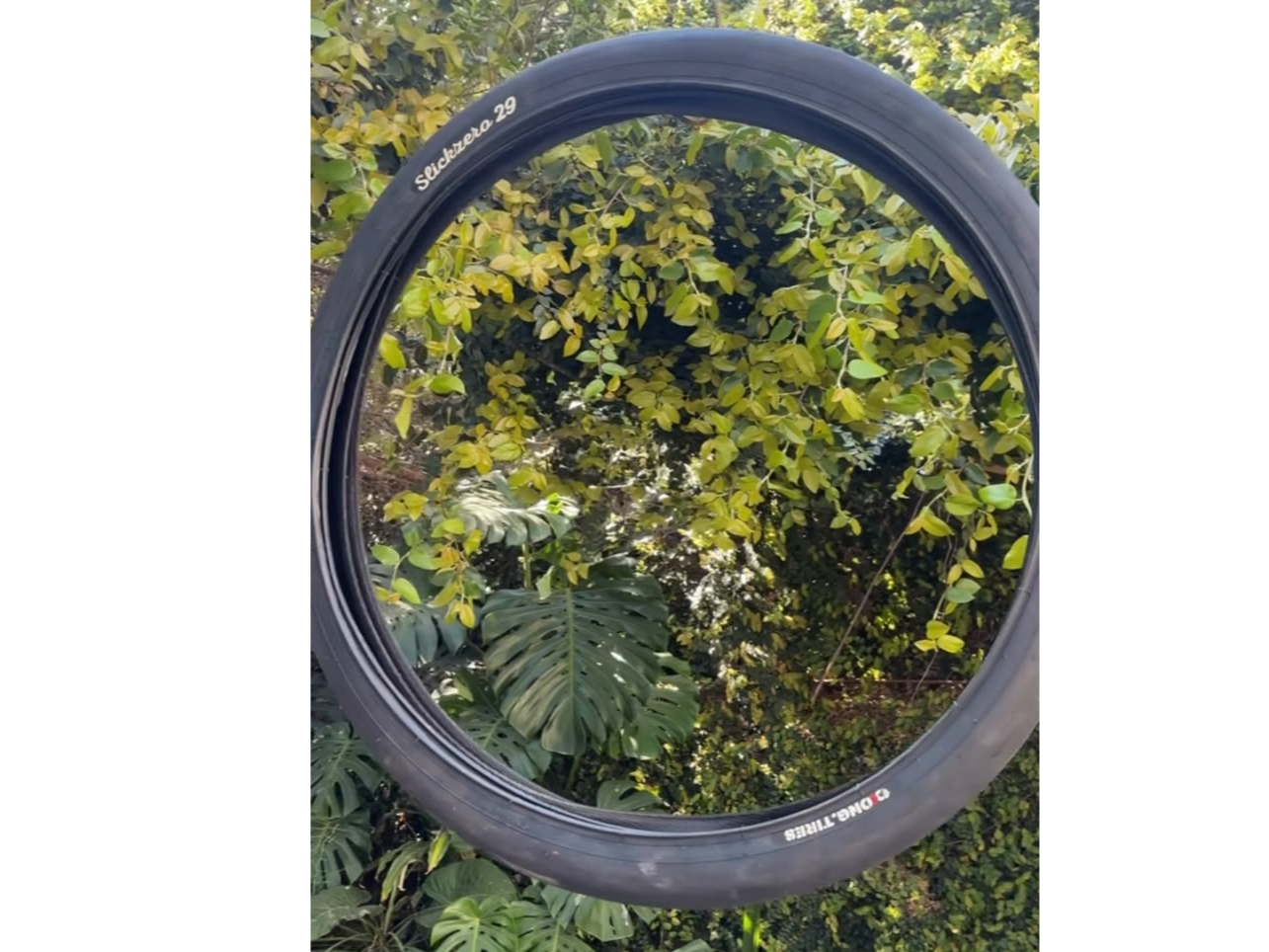 DKONG SLICKZERO 29x2.50    X2