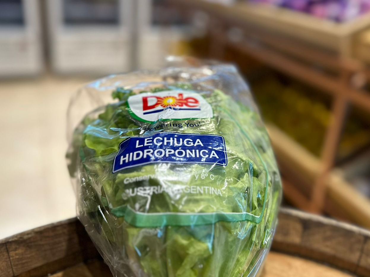 Lechuga Hidroponica por unidad