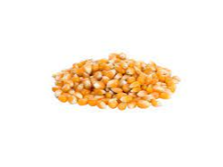 Maíz curagua - 500 gr