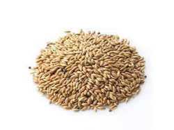 Semilla alpiste - 500 gr