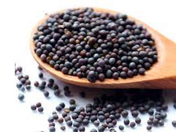 Mostaza negra entera - 100 gr