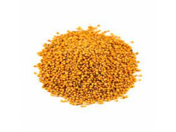Mostaza amarilla entera - 100 gr