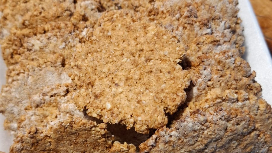 GALLETAS PROTEICAS