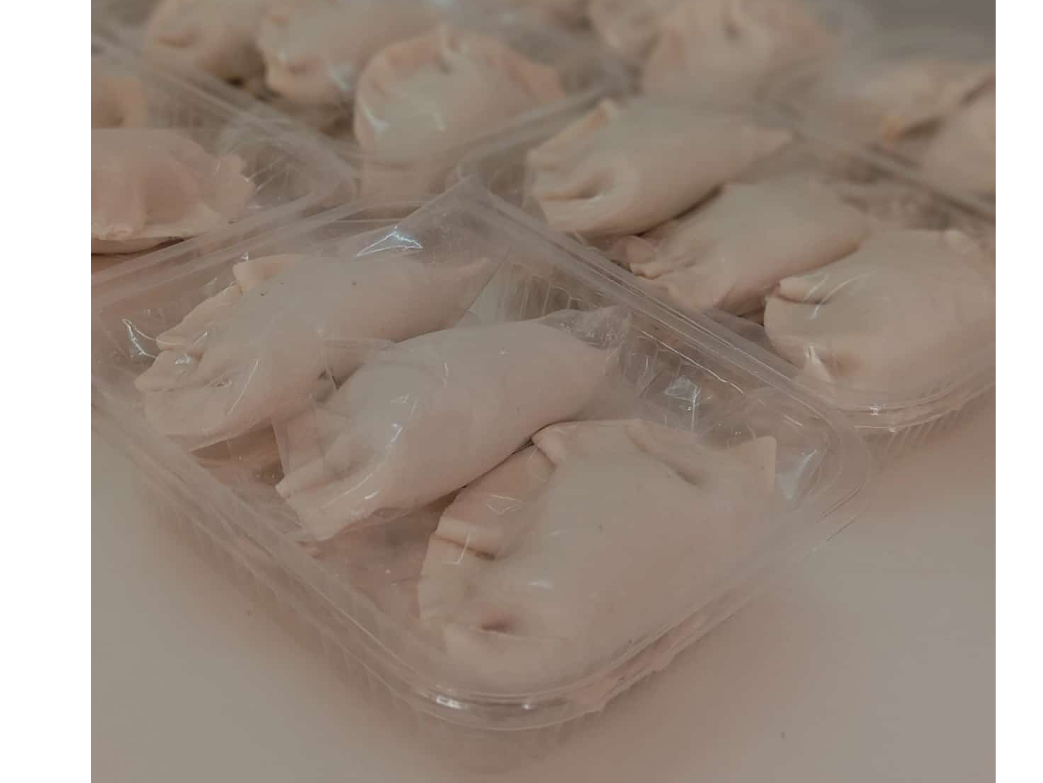 EMPANADAS DE POLLO SIN TACC x 12