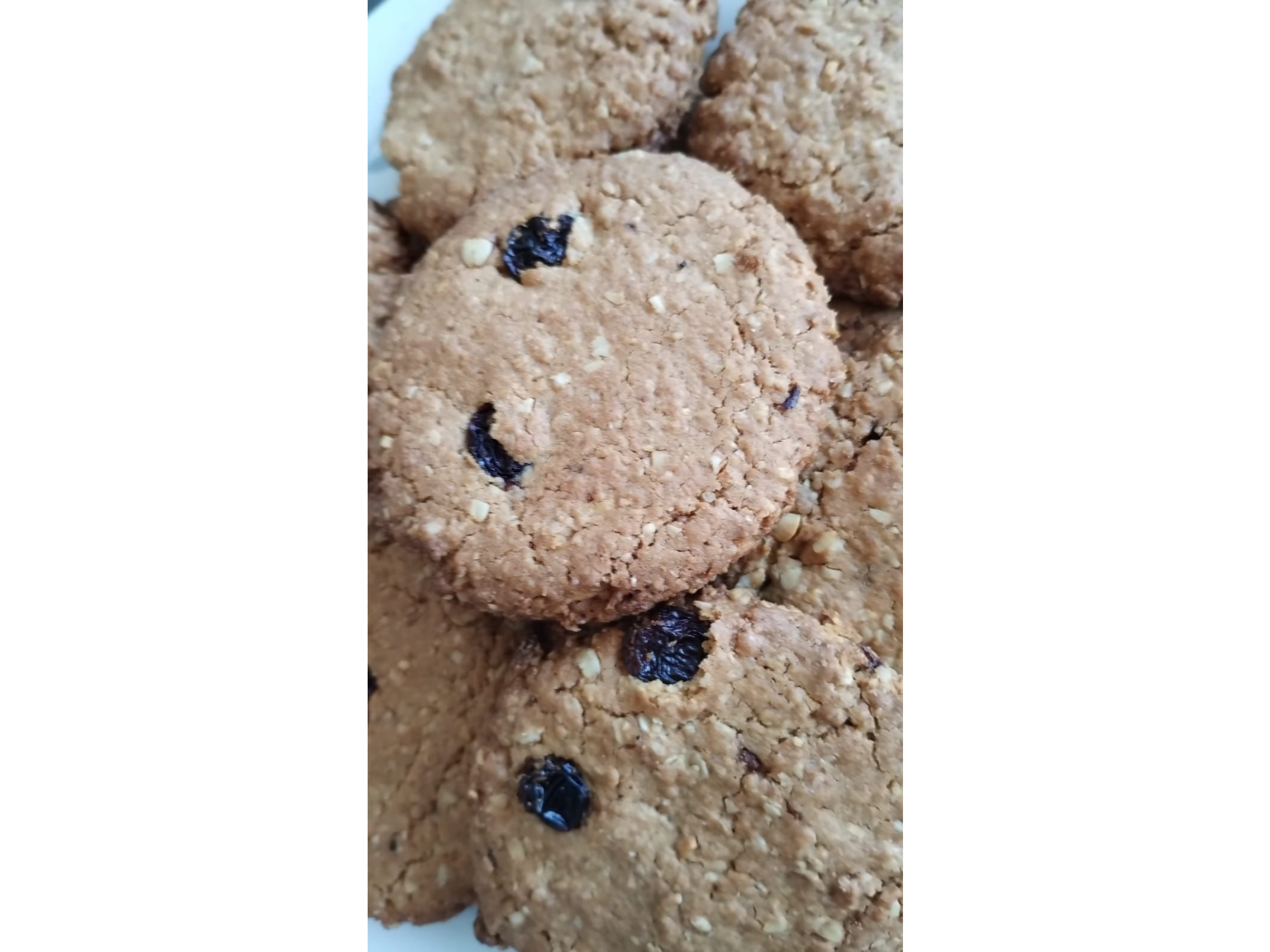 GALLETAS DE AVENA