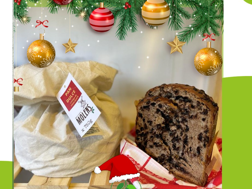 PAN DULCE INTEGRAL CON CHIP DE CHOCOLATE  X 750 GRS