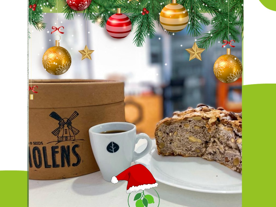 PAN DULCE INT CON FRUTOS SECOS X 750 GRS