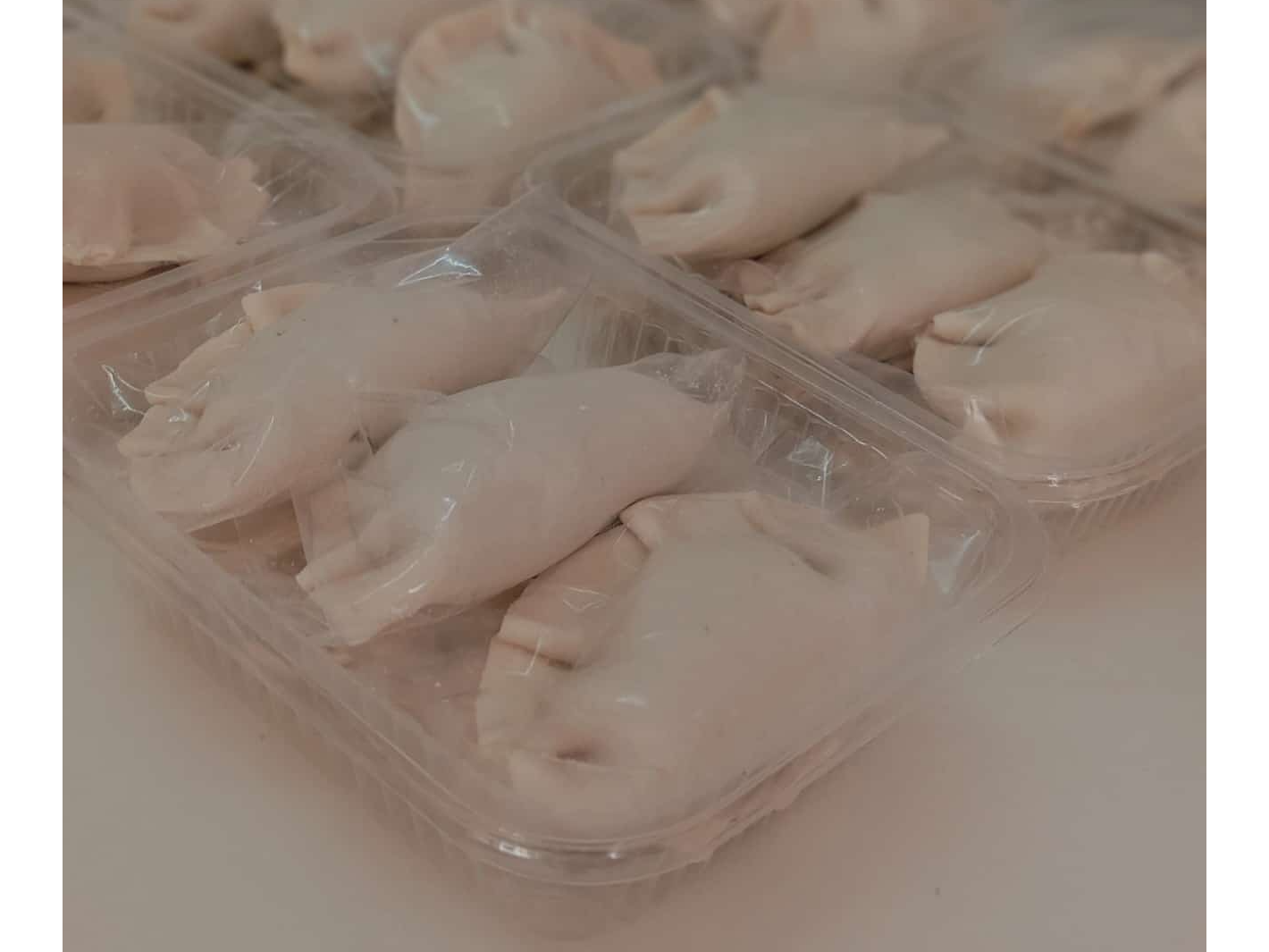 EMPANADAS DE VERDURA x 12