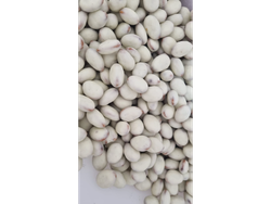 Almendras bañadas en choco blanco sin azúcar x 1 kg