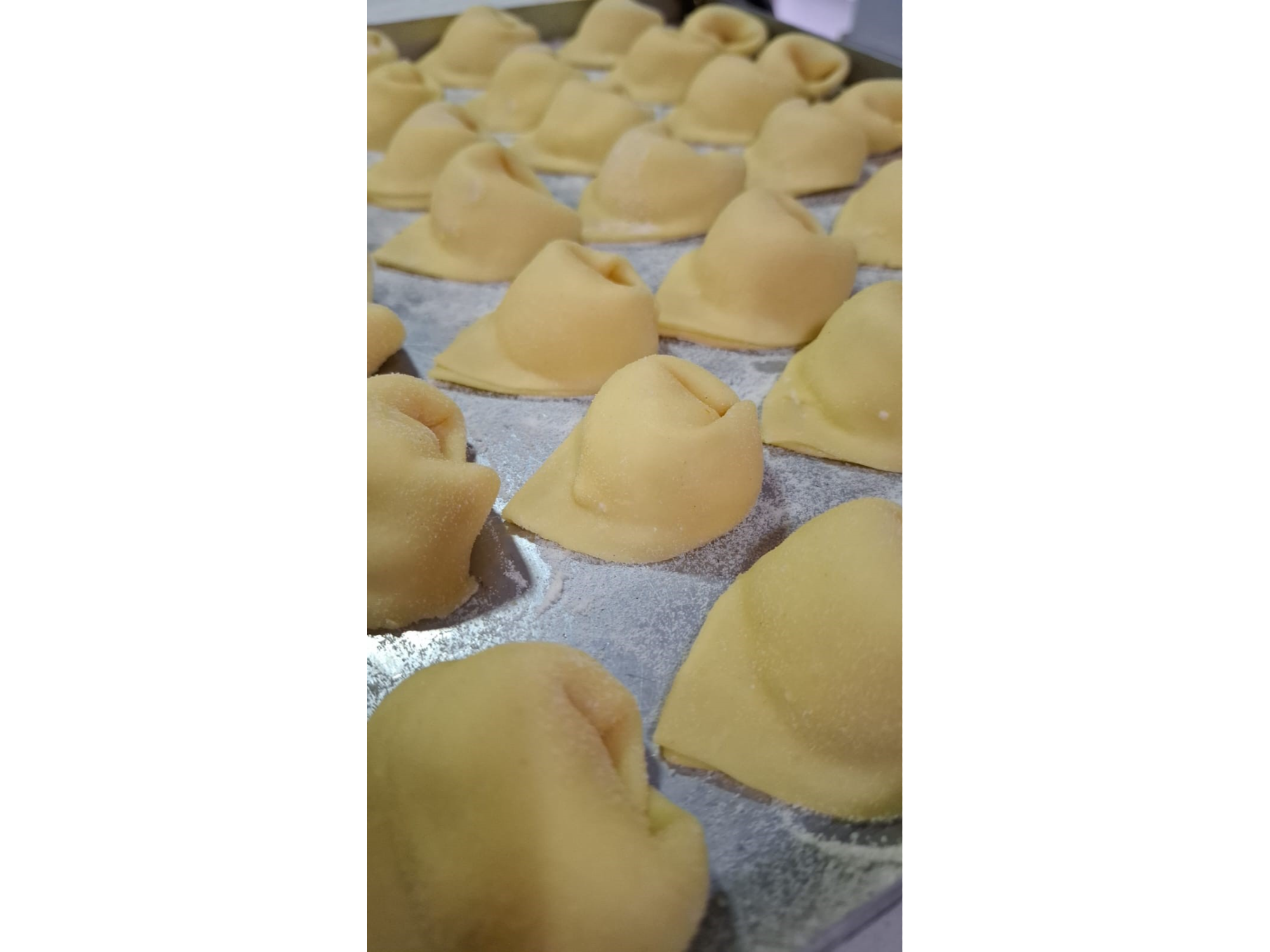 PASTAS RELLENAS TIPO SORRENTINOS X 8 UNIDADES