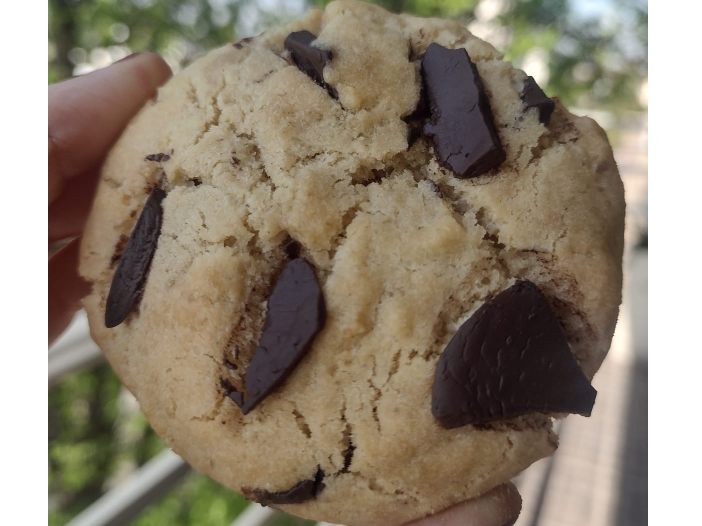 Clásicas con chips. x 12 unidades